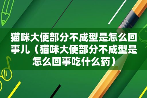 猫咪大便部分不成型是怎么回事儿（猫咪大便部分不成型是怎么回事吃什么药）