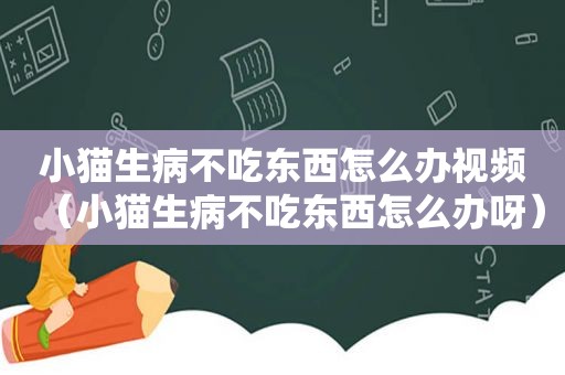 小猫生病不吃东西怎么办视频（小猫生病不吃东西怎么办呀）