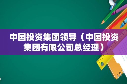 中国投资集团领导（中国投资集团有限公司总经理）