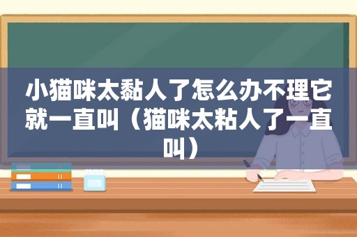 小猫咪太黏人了怎么办不理它就一直叫（猫咪太粘人了一直叫）