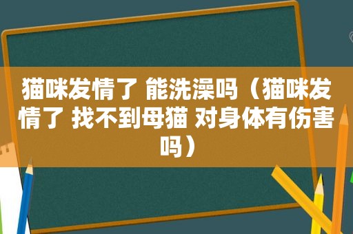 猫咪 *** 了 能洗澡吗（猫咪 *** 了 找不到母猫 对身体有伤害吗）