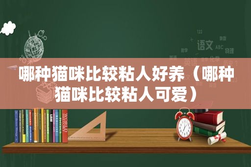 哪种猫咪比较粘人好养（哪种猫咪比较粘人可爱）