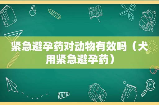 紧急避孕药对动物有效吗（犬用紧急避孕药）