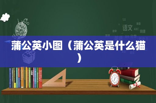 蒲公英小图（蒲公英是什么猫）