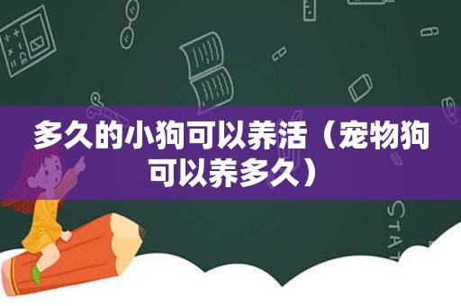 多久的小狗可以养活（宠物狗可以养多久）