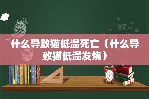 什么导致猫低温死亡（什么导致猫低温发烧）