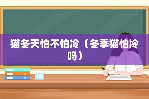 猫冬天怕不怕冷（冬季猫怕冷吗）