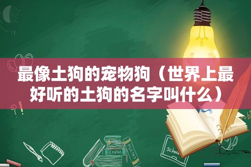 最像土狗的宠物狗（世界上最好听的土狗的名字叫什么）