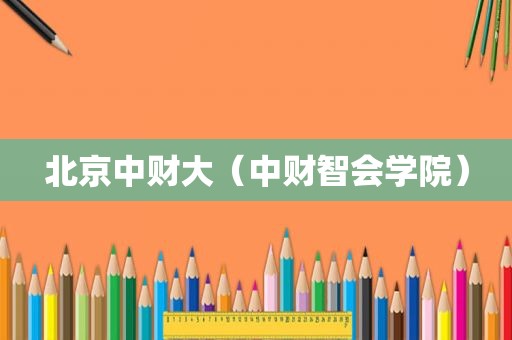 北京中财大（中财智会学院）