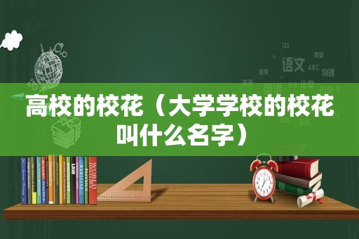 高校的校花（大学学校的校花叫什么名字）