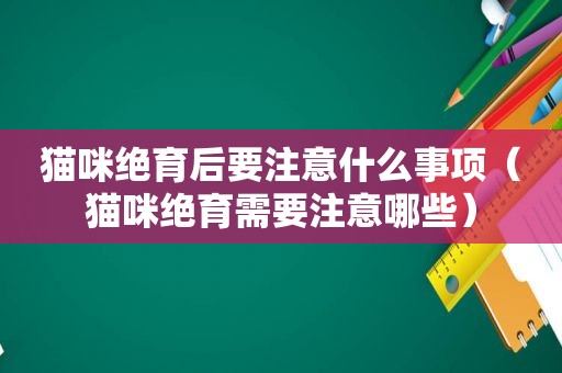 猫咪绝育后要注意什么事项（猫咪绝育需要注意哪些）