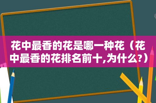 花中最香的花是哪一种花（花中最香的花排名前十,为什么?）