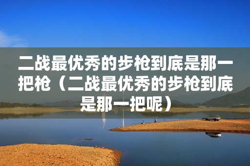 二战最优秀的步枪到底是那一把枪（二战最优秀的步枪到底是那一把呢）