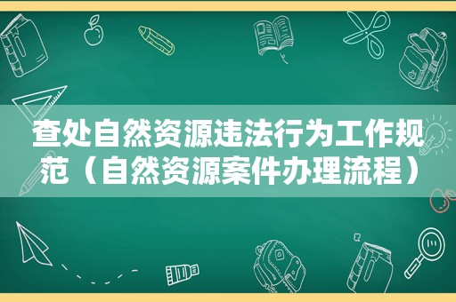 查处自然资源违法行为工作规范（自然资源案件办理流程）