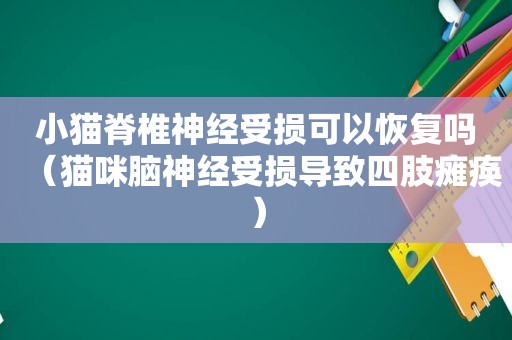 小猫脊椎神经受损可以恢复吗（猫咪脑神经受损导致四肢瘫痪）