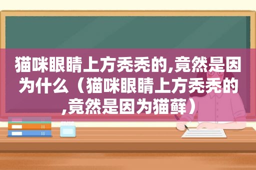 猫咪眼睛上方秃秃的,竟然是因为什么（猫咪眼睛上方秃秃的,竟然是因为猫藓）