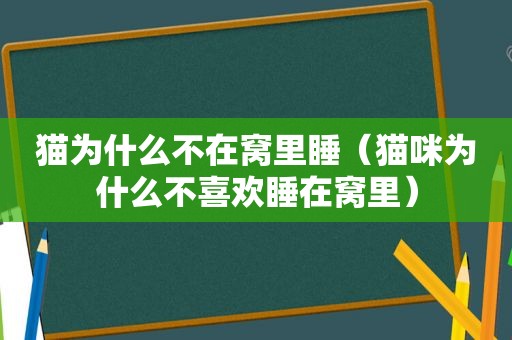 猫为什么不在窝里睡（猫咪为什么不喜欢睡在窝里）