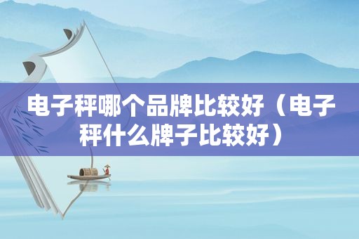 电子秤哪个品牌比较好（电子秤什么牌子比较好）