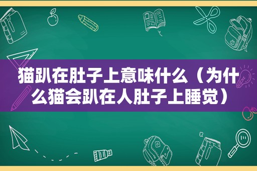 猫趴在肚子上意味什么（为什么猫会趴在人肚子上睡觉）