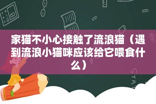 家猫不小心接触了流浪猫（遇到流浪小猫咪应该给它喂食什么）