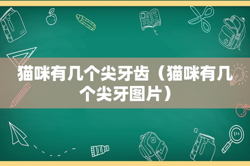 猫咪有几个尖牙齿（猫咪有几个尖牙图片）