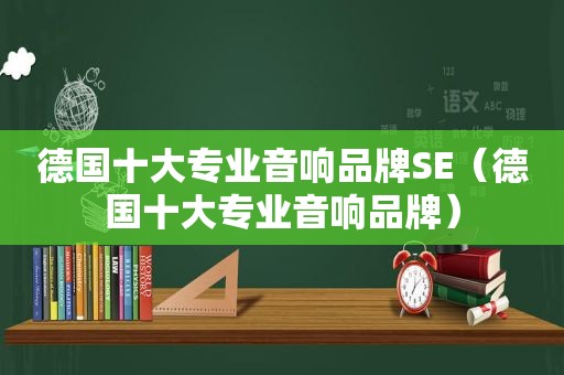 德国十大专业音响品牌SE（德国十大专业音响品牌）