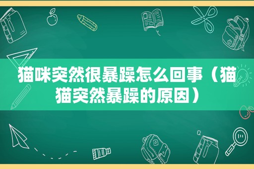 猫咪突然很暴躁怎么回事（猫猫突然暴躁的原因）