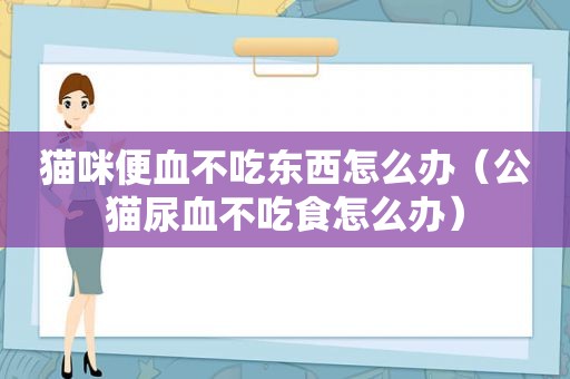 猫咪便血不吃东西怎么办（公猫尿血不吃食怎么办）