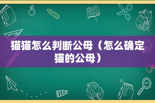 猫猫怎么判断公母（怎么确定猫的公母）