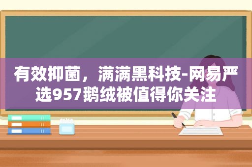 有效抑菌，满满黑科技-网易严选957鹅绒被值得你关注