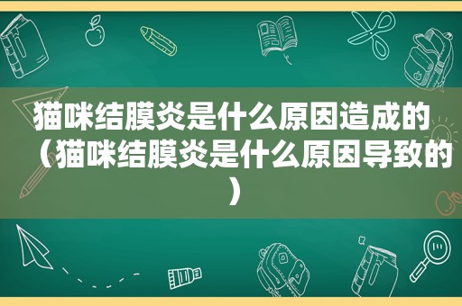 猫咪结膜炎是什么原因造成的（猫咪结膜炎是什么原因导致的）