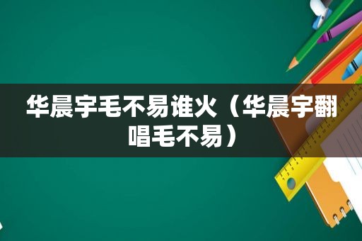 华晨宇毛不易谁火（华晨宇翻唱毛不易）