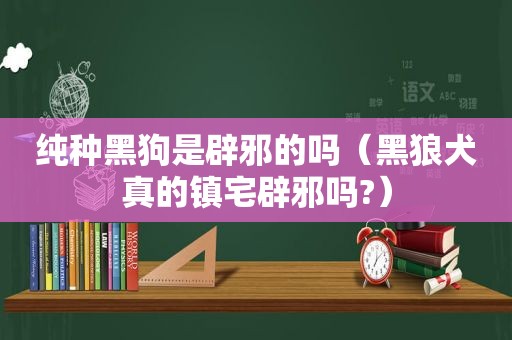 纯种黑狗是辟邪的吗（黑狼犬真的镇宅辟邪吗?）