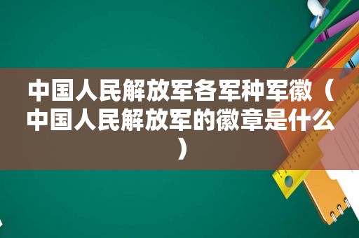 中国人民 *** 各军种军徽（中国人民 *** 的徽章是什么）