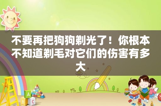 不要再把狗狗剃光了！你根本不知道剃毛对它们的伤害有多大