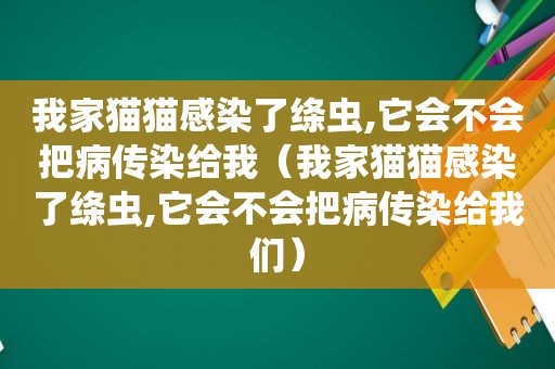 我家猫猫感染了绦虫,它会不会把病传染给我（我家猫猫感染了绦虫,它会不会把病传染给我们）