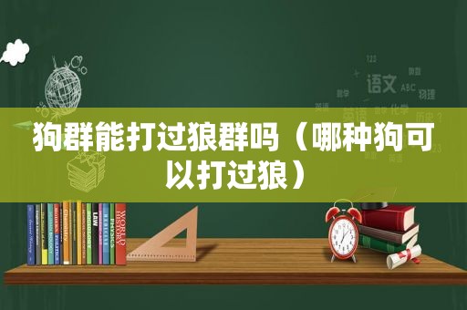 狗群能打过狼群吗（哪种狗可以打过狼）