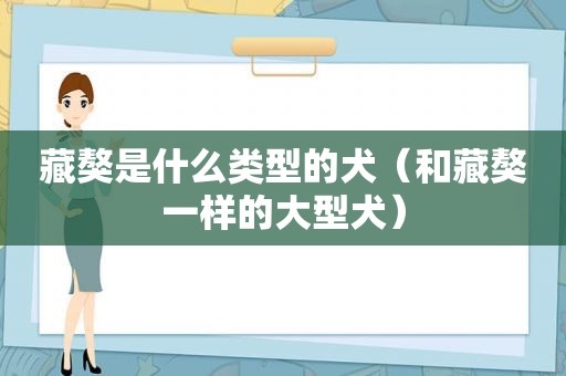 藏獒是什么类型的犬（和藏獒一样的大型犬）