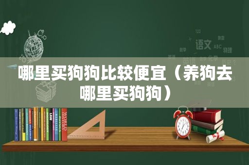 哪里买狗狗比较便宜（养狗去哪里买狗狗）