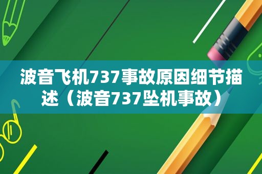 波音飞机737事故原因细节描述（波音737坠机事故）