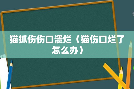 猫抓伤伤口溃烂（猫伤口烂了怎么办）