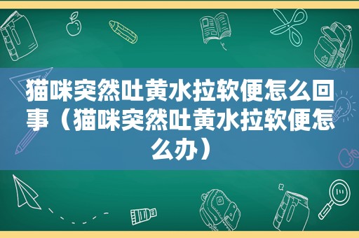 猫咪突然吐黄水拉软便怎么回事（猫咪突然吐黄水拉软便怎么办）