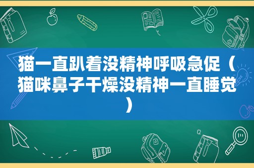 猫一直趴着没精神呼吸急促（猫咪鼻子干燥没精神一直睡觉）