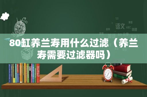 80缸养兰寿用什么过滤（养兰寿需要过滤器吗）