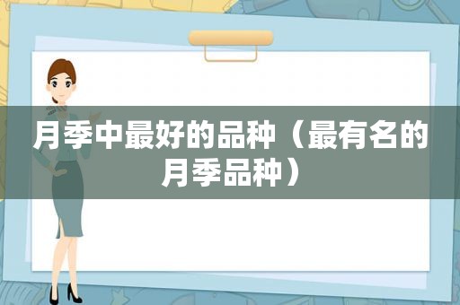 月季中最好的品种（最有名的月季品种）