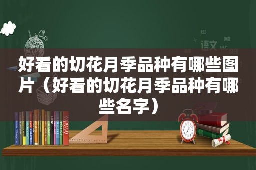 好看的切花月季品种有哪些图片（好看的切花月季品种有哪些名字）