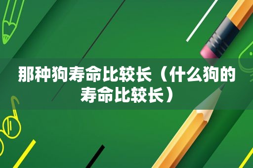 那种狗寿命比较长（什么狗的寿命比较长）