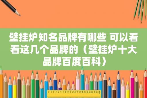 壁挂炉知名品牌有哪些 可以看看这几个品牌的（壁挂炉十大品牌百度百科）