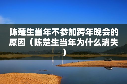 陈楚生当年不参加跨年晚会的原因（陈楚生当年为什么消失）