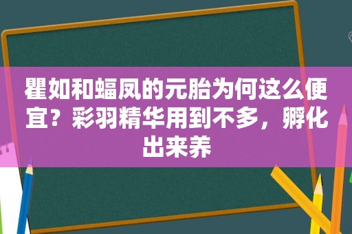 瞿如和蝠凤的元胎为何这么便宜？彩羽精华用到不多，孵化出来养